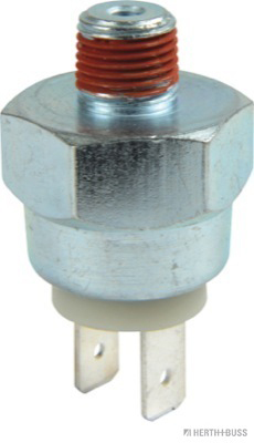 Remlichtschakelaar, 2 pins 113945515H