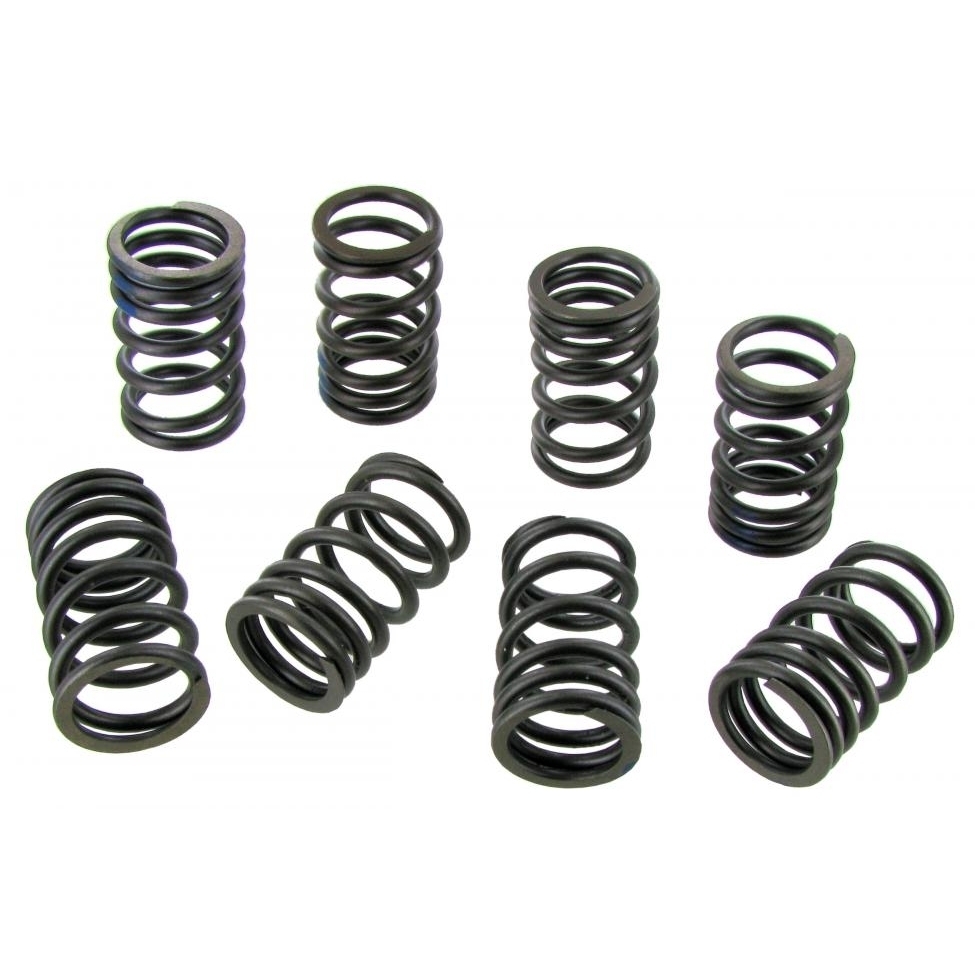 Klepveren standaard 8 stuks. 1300/1500/1600 cc 113109623C Klepveren standaard 8 stuks. 1300/1500/1600 cc 113109623C