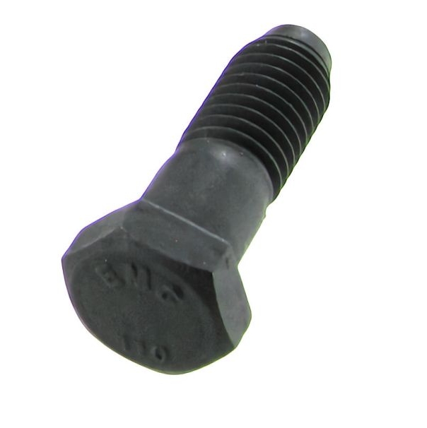Achterwiellagerdeksel bout M10 111501325