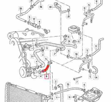 Radiateurslang Audi 80 (van waterpomp naar waterslang) 026121063N