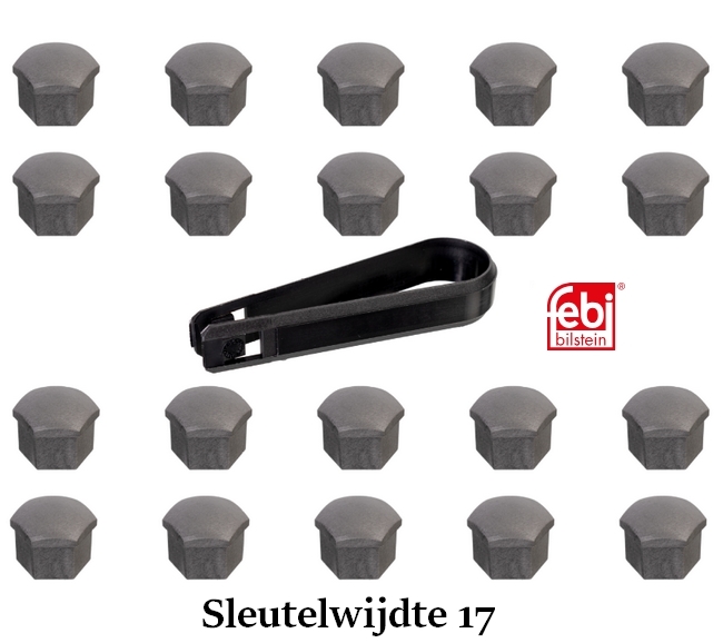 Set afdekkapjes voor wielbouten maat 17 (grijs) 321601173a Set afdekkapjes voor wielbouten maat 17 (grijs) 321601173a